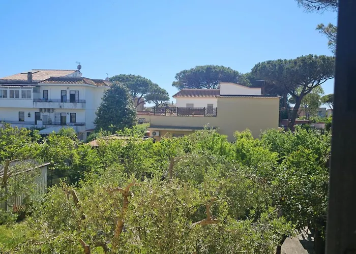 Claudio's Airport Fiumicino